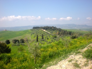 The view from the hilltop winery of Tenuta Vitanza in Montalcino.